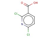 2,6-DICHLORONICOTINIC ACID