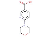 6-吗啉<span class='lighter'>烟酸</span>