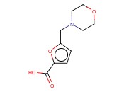 5-<span class='lighter'>吗</span><span class='lighter'>啉</span>-4-<span class='lighter'>甲基</span>-呋喃-2-羧酸