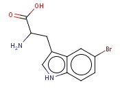5-溴-DL-<span class='lighter'>色氨酸</span>