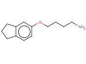 5-(4-AMINOBUTOXY)-2,3-DIHYDRO-1H-<span class='lighter'>INDENE</span>