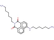 1H-BENZ[DE]ISOQUINOLINE-1,3(2H)-DIONE, 2-(6-AMINOHEXYL)-6-[(6-AMINOHEXYL)AMINO]-