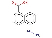 2-<span class='lighter'>碘</span>吗啡