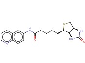 生物素<span class='lighter'>基</span>-6-氨基<span class='lighter'>喹啉</span>