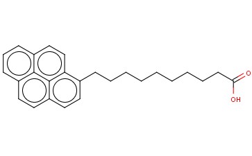 <span class='lighter'>PDA</span>