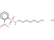 N-(6-氨己基)-2-<span class='lighter'>硝基苯</span>磺酰胺<span class='lighter'>盐酸盐</span>