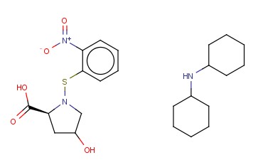 <span class='lighter'>N-O-NPS-L-HYDROXYPROLINE</span>, <span class='lighter'>DICYCLOHEXYL-AMMONIUM</span> SALT