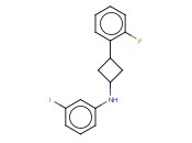 N-[3-(2-FLUOROPHENYL)CYCLOBUTYL]-<span class='lighter'>3-IODOANILINE</span>