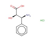 (2R,3S)-3-苯基异丝氨酸盐酸盐