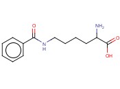 DL-ω-苯甲酰<span class='lighter'>赖氨酸</span>
