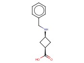 CIS-3-BENZYLAMINOCYCLOBUTANECARBOXYLIC ACID