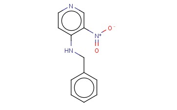 4-<span class='lighter'>苄</span><span class='lighter'>氨基</span>-3-<span class='lighter'>硝基</span><span class='lighter'>吡啶</span>
