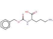 <span class='lighter'>Z-ORN-OH</span>