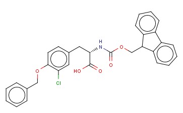 <span class='lighter'>FMOC-4-BENZYLOXY-3-CHLORO-L-PHENYLALANINE</span>