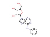 N6-苯<span class='lighter'>腺</span><span class='lighter'>嘌呤</span>核苷