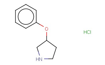 3-<span class='lighter'>苯</span><span class='lighter'>氧基</span><span class='lighter'>吡咯烷</span><span class='lighter'>盐酸盐</span>