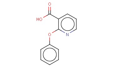 <span class='lighter'>2-PHENOXYNICOTINIC</span> ACID