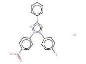 INT <span class='lighter'>DYE</span>