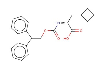 FMOC-BETA-CYCLOBUTYL-D-ALA-OH