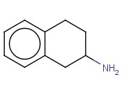 1,2,3,4-四氢-2-<span class='lighter'>萘</span><span class='lighter'>胺</span>
