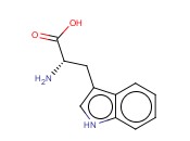 <span class='lighter'>H-TRP-OH</span>