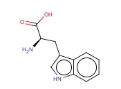 D-TRYPTOPHAN