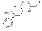 氯<span class='lighter'>乙酰</span>基-L-色<span class='lighter'>氨酸</span>