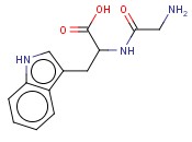 甘氨酰-DL-<span class='lighter'>色氨酸</span>