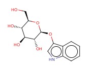 3-吲哚基-β-D-吡喃半乳糖苷<span class='lighter'>三水</span>