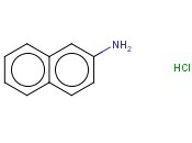 2-<span class='lighter'>萘</span><span class='lighter'>胺</span>盐酸盐
