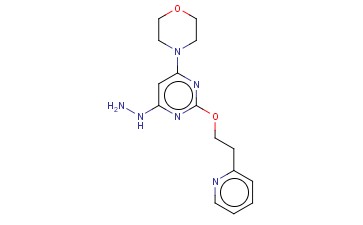 1-(6-MORPHOLINO-2-(2-(PYRIDIN-2-YL)ETHOXY)PYRIMIDIN-4-YL)HYDRAZINE