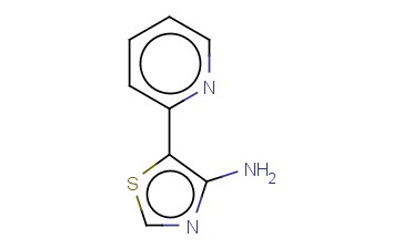4-AMINO-5-(<span class='lighter'>2-PYRIDYL</span>)THIAZOLE