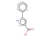 5-叔丁基-2-<span class='lighter'>对</span>甲苯基-2H-吡唑-3-<span class='lighter'>胺</span>