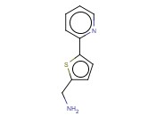5-(2-<span class='lighter'>吡啶</span>基)噻吩-2-<span class='lighter'>甲</span><span class='lighter'>胺</span>