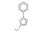2-AMINO-5-(<span class='lighter'>2-PYRIDYL</span>)THIOPHENE