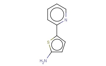 2-AMINO-5-(<span class='lighter'>2-PYRIDYL</span>)THIOPHENE