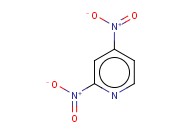 2,4-二<span class='lighter'>硝基</span>吡啶