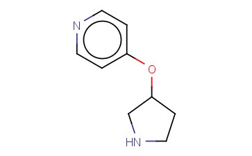 4-(<span class='lighter'>吡咯烷</span>-3-基氧基)-吡啶