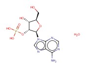 腺苷2'- <span class='lighter'>一</span>磷酸