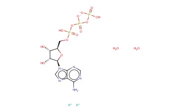 腺苷-5ˊ-<span class='lighter'>三</span>磷酸二钾盐(二<span class='lighter'>水</span>)