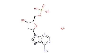 2'-脱氧腺苷5'-单磷酸一<span class='lighter'>水</span>