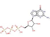 三<span class='lighter'>磷酸</span>鸟苷<span class='lighter'>钠</span>