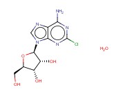 2-<span class='lighter'>氯</span><span class='lighter'>腺</span><span class='lighter'>嘌呤</span>核苷水合物