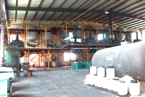 monocalcium phosphate